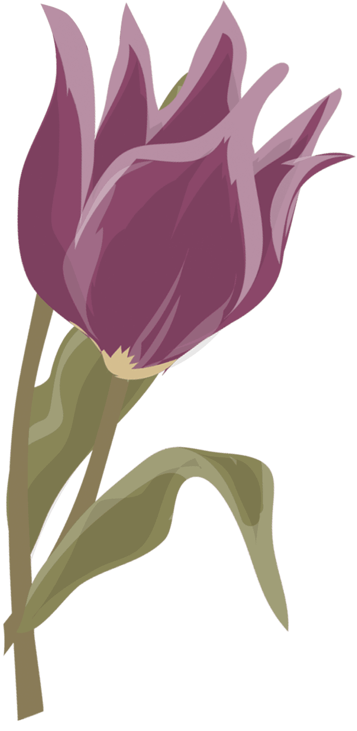 女性向けホームページ制作 おしゃれな広告制作 株式会社ココロア